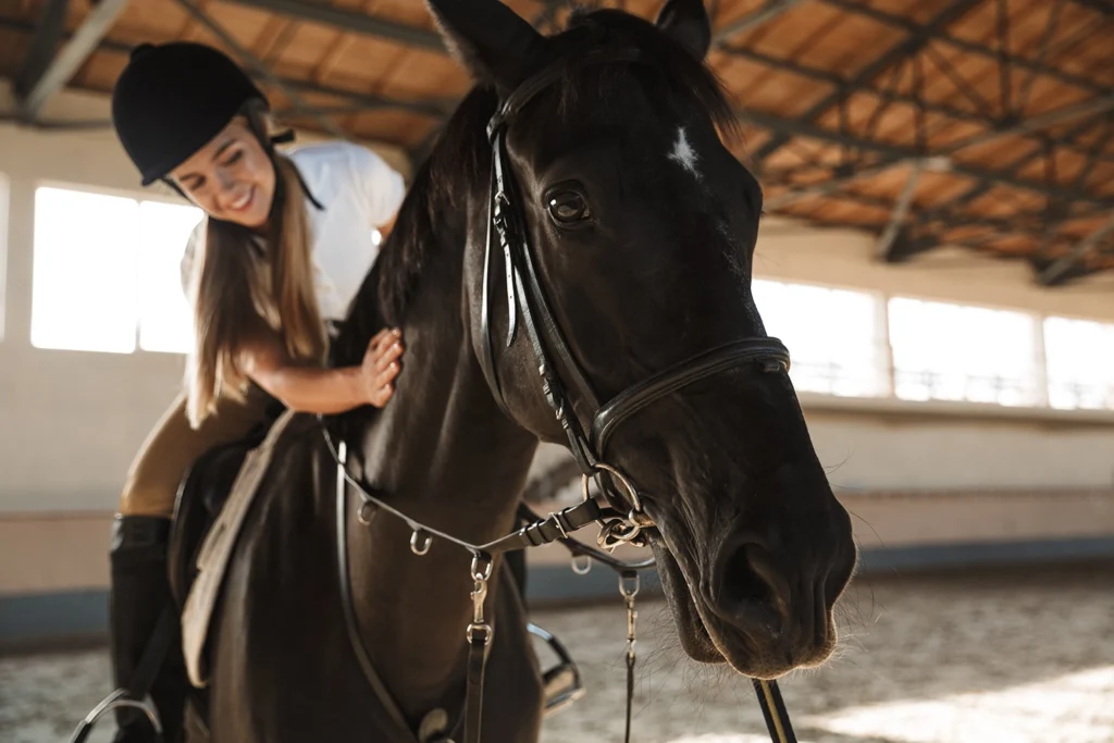 akcesoria jezdzieckie